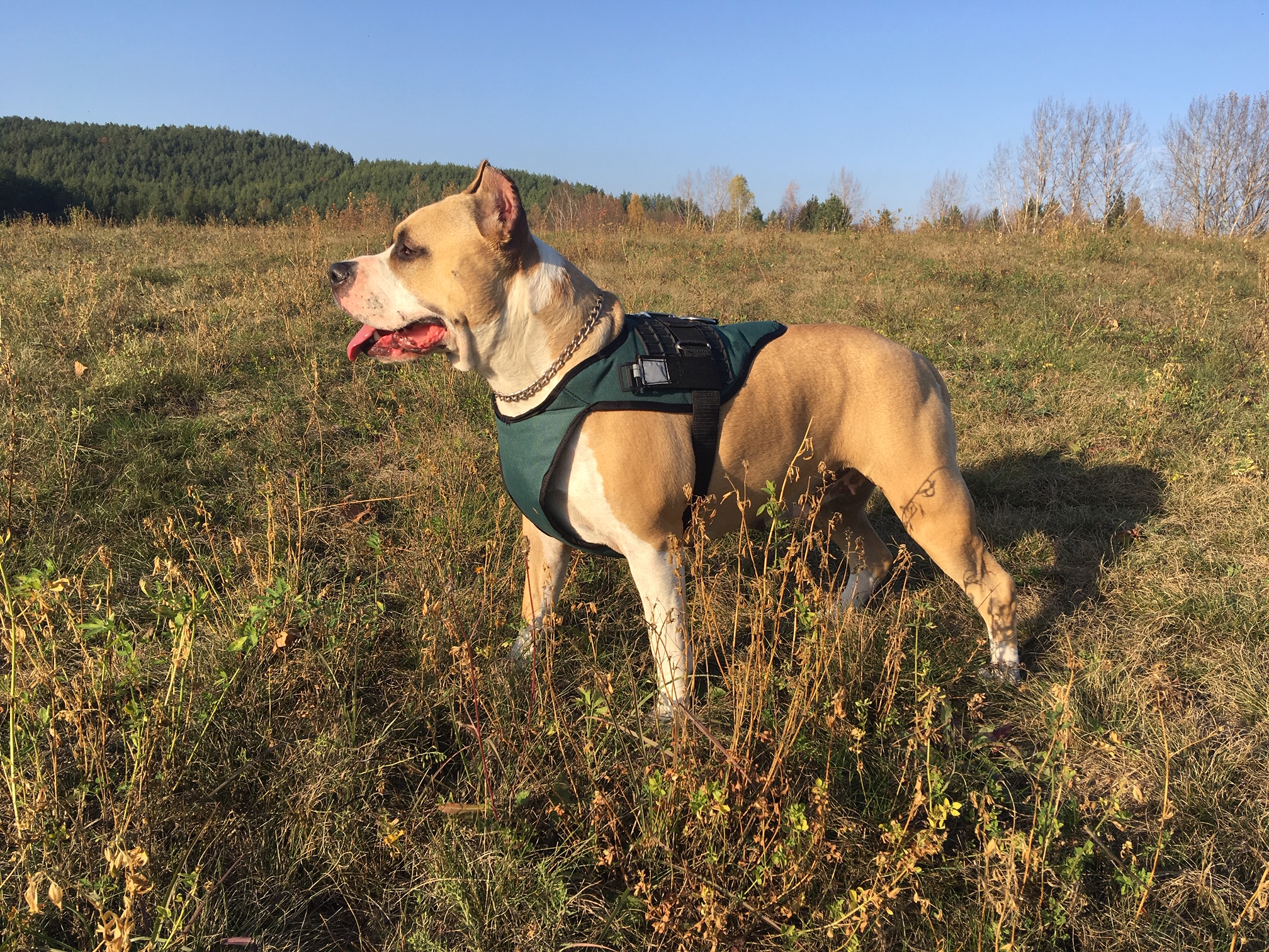 Matra Hills – photo 2