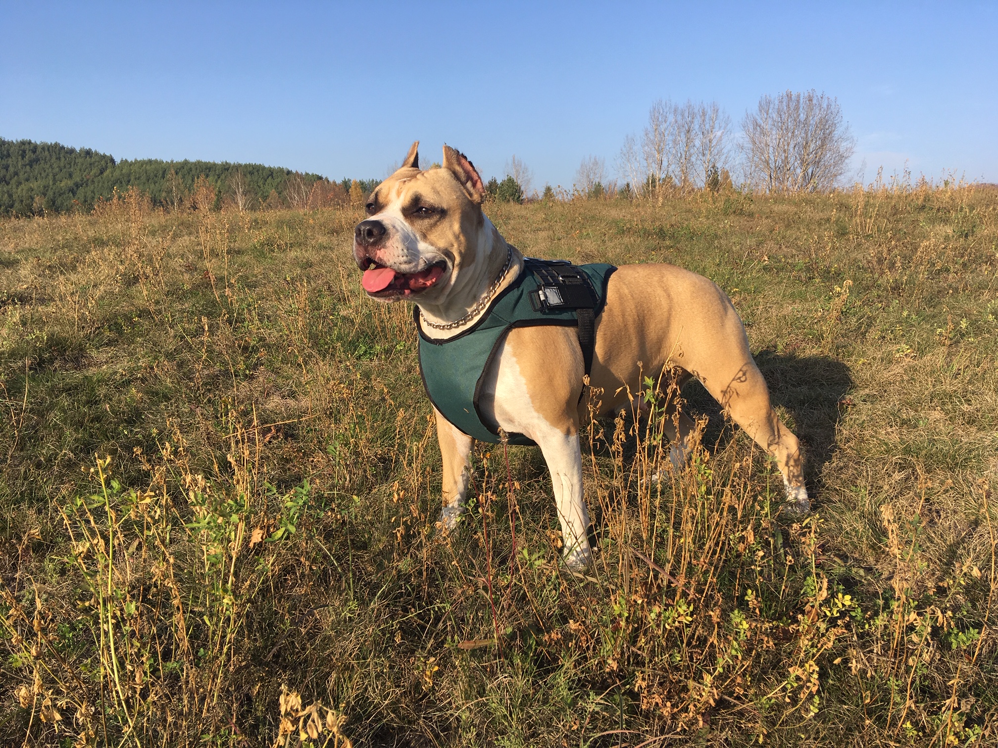 Matra Hills – photo 3